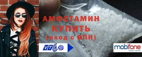 индика Пестово