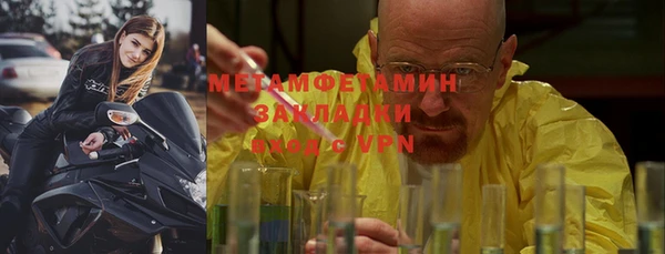 индика Пестово