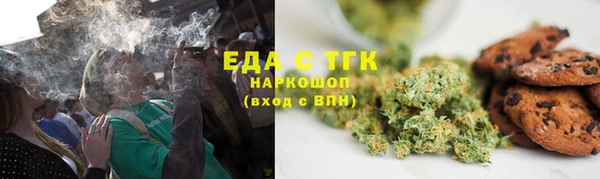 индика Пестово