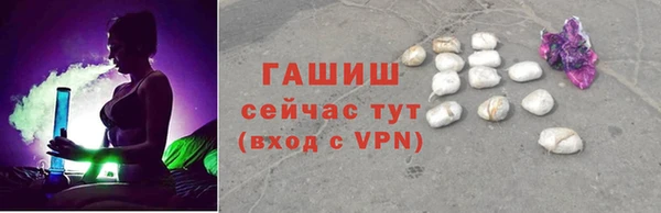 индика Пестово