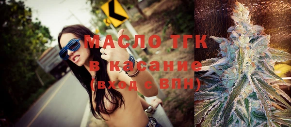 индика Пестово