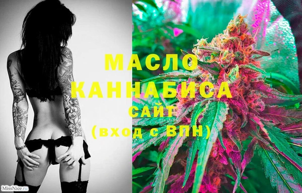 индика Пестово