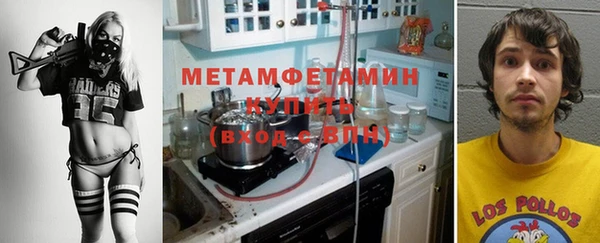 индика Пестово