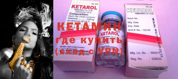 индика Пестово