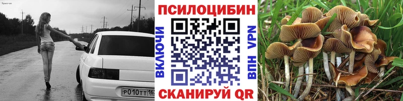 Псилоцибиновые грибы прущие грибы  Купить закладки  Афипский 